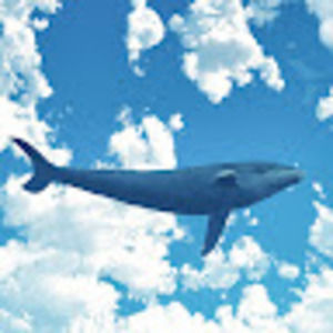 Meet your Posher, Stefanie